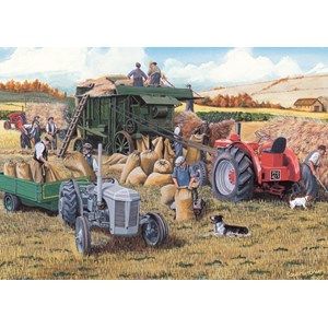 Falcon (11124) - "Harvesting" - 500 pezzi