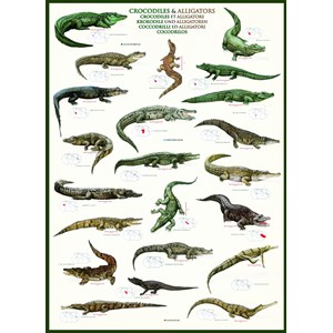 Eurographics (6000-4680) - "Crocodiles & Alligators" - 1000 pezzi