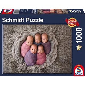 Schmidt Spiele (58301) - "Five Babies" - 1000 pezzi