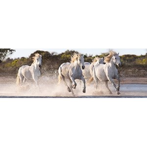 Clementoni (39371) - "Running Horses" - 1000 pezzi