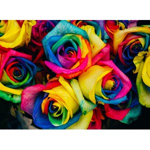 Grafika Kids (00945) - "Roses" - 300 pezzi