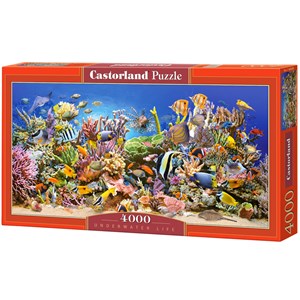 Castorland (C-400089) - "The underwater life" - 4000 pezzi