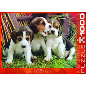 Eurographics (6000-4054) - "Puppies" - 1000 pezzi