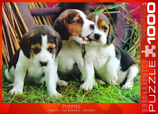 Eurographics (6000-4054) - "Puppies" - 1000 pezzi