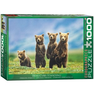 Eurographics (6000-0531) - "Bear Cubs Standing" - 1000 pezzi