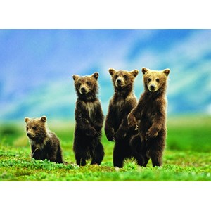Eurographics (6000-0531) - "Bear Cubs Standing" - 1000 pezzi