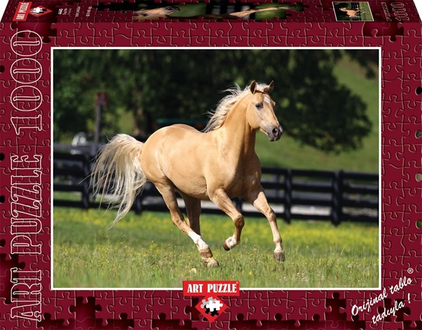 Art Puzzle (4445) - "Freedom" - 1000 pezzi