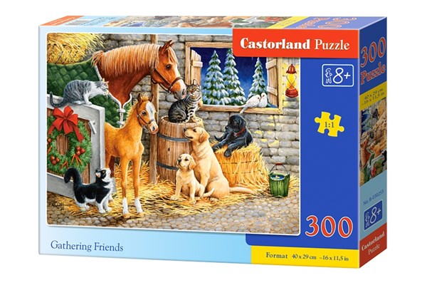 Castorland (B-030255) - "Gathering Friends" - 300 pezzi