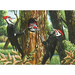 Cobble Hill (51719) - "Pileated Woodpeckers" - 1000 pezzi