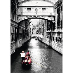 Ravensburger (19472) - "Venice" - 1000 pezzi