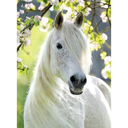 Ravensburger (14726) - "White Horse" - 500 pezzi