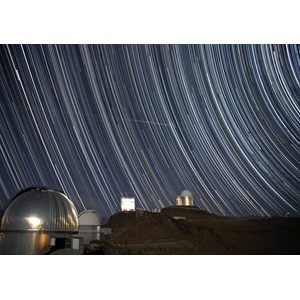 Grafika (00760) - "Is it a Bird?" - 1000 pezzi