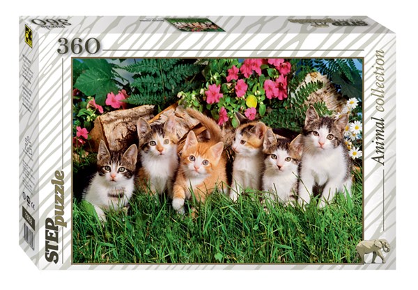 Step Puzzle (73058) - "Cat's family" - 360 pezzi