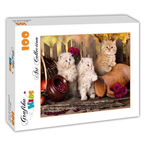 Grafika Kids (00320) - "Persian kittens" - 100 pezzi
