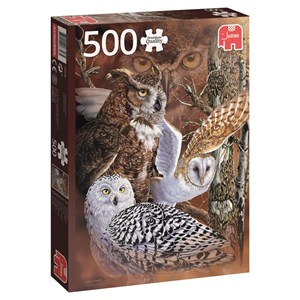 Jumbo (18346) - "Find the Owls" - 500 pezzi