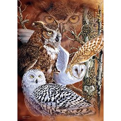 Jumbo (18346) - "Find the Owls" - 500 pezzi