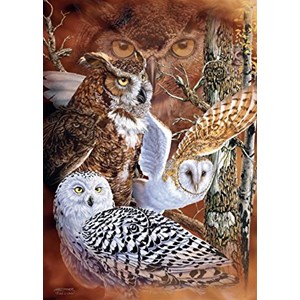 Jumbo (18346) - "Find the Owls" - 500 pezzi