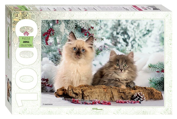 Step Puzzle (79089) - "Cats" - 1000 pezzi