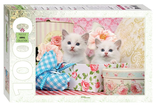 Step Puzzle (79100) - "Kittens" - 1000 pezzi