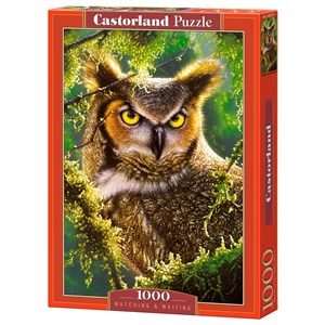 Castorland (C-103577) - "Watching & Waiting, Owl" - 1000 pezzi