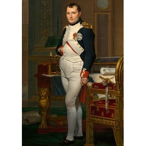 Grafika Kids (00360) - Jacques-Louis David: "The Emperor Napoleon in his study at the Tuileries, 1812" - 100 pezzi