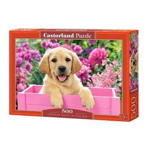 Castorland (B-52226) - "Labrador Puppy in Pink Box" - 500 pezzi