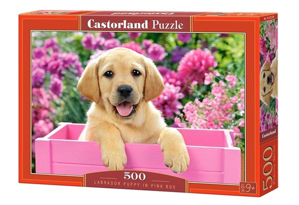 Castorland (B-52226) - "Labrador Puppy in Pink Box" - 500 pezzi