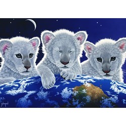 Grafika (T-00404) - Schim Schimmel, William Schimmel: "Secret, Mystery and Hope" - 1000 pezzi