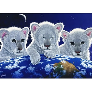 Grafika (T-00404) - Schim Schimmel, William Schimmel: "Secret, Mystery and Hope" - 1000 pezzi