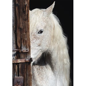 Schmidt Spiele (58278) - "Horse Beauty" - 1000 pezzi