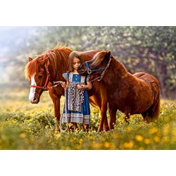 Castorland (B-52509) - "Beauty Within" - 500 pezzi