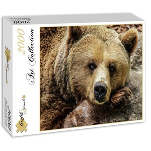 Grafika (01412) - "Bear" - 2000 pezzi