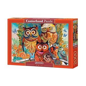 Castorland (C-200535) - David Galchutt: "Owls" - 2000 pezzi