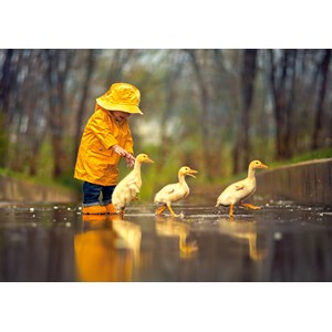 Castorland (B-52264) - "Rainy Day Friends" - 500 pezzi