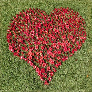 Puzzle Michele Wilson (Z81) - "I Love You" - 30 pezzi