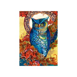 Castorland (C-151110) - David Galchutt: "Owl, Hoot" - 1500 pezzi