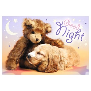 Trefl (17270) - "Good Night" - 60 pezzi