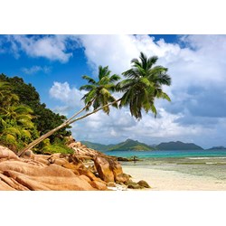 Castorland (C-103713) - "Secret Beach, Seychelles" - 1000 pezzi