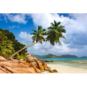 Castorland (C-103713) - "Secret Beach, Seychelles" - 1000 pezzi