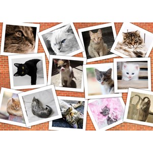 Grafika (T-00382) - "Cats" - 1500 pezzi