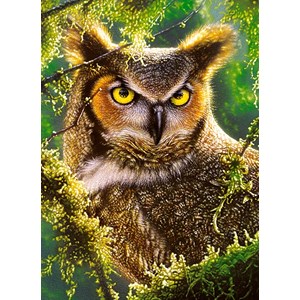 Castorland (B-030231) - "Watching & Waiting" - 300 pezzi