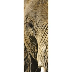 Clementoni (39307) - "Animals" - 500 pezzi