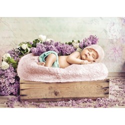 Grafika (01610) - Konrad Bak: "Baby sleeping in the Lilac" - 300 pezzi