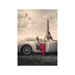 Art Puzzle (4359) - "Paris" - 1000 pezzi