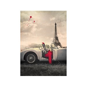 Art Puzzle (4359) - "Paris" - 1000 pezzi