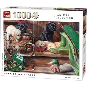 King International (05379) - "Puppies on Stairs" - 1000 pezzi