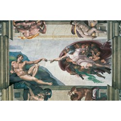 Ravensburger (17408) - Michelangelo: "The Creation of Adam" - 5000 pezzi