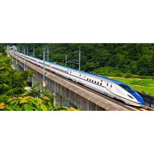 Castorland (B-060146) - "The Fast Train" - 600 pezzi