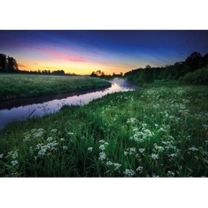 Tactic (40902) - "Summer Night" - 1000 pezzi