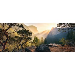 Ravensburger (15083) - "Yosemite Park" - 1000 pezzi